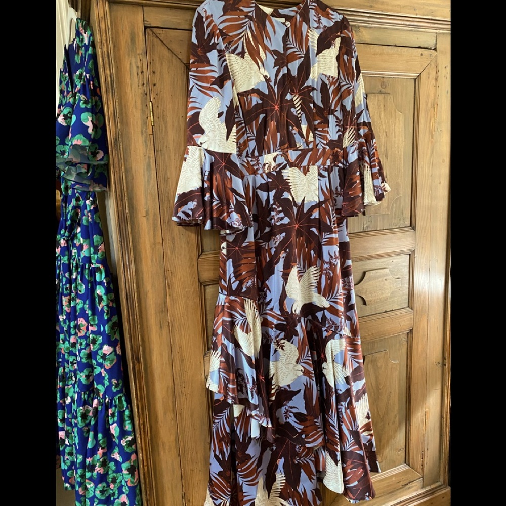 Erdem dress